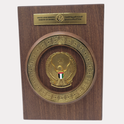 Appreciation Award From Ministry Of Defense UAE