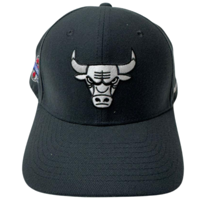 MENS NIKE CHICAGO BULLS FITTED Cap OSFA