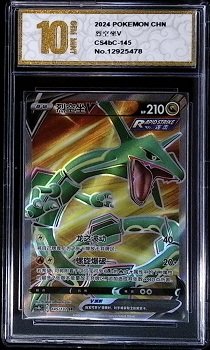 Rayquaza V (Full Art) card from the Pokémon Trading Card Game.The card features the Dragon-type Pokémon Rayquaza and is identified by the number 193/203.