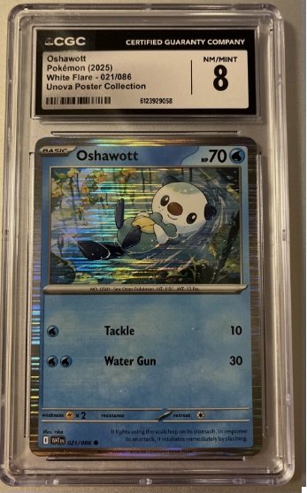 2025 Pokémon Oshawott 021 086 White Flare English CGC 8 NM MINT Unova Poster Col
