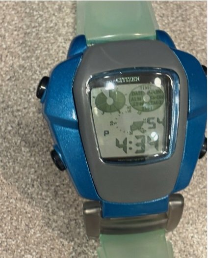 citizen vintage